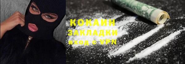 индика Белокуриха