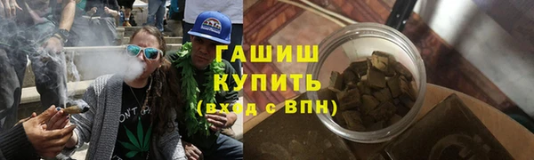 индика Белокуриха