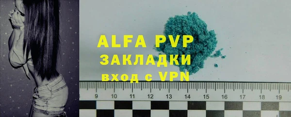 индика Белокуриха