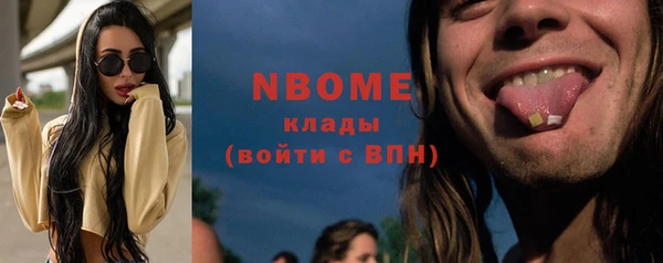 индика Белокуриха