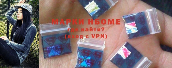 индика Белокуриха