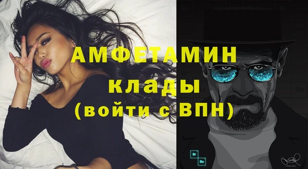 индика Белокуриха